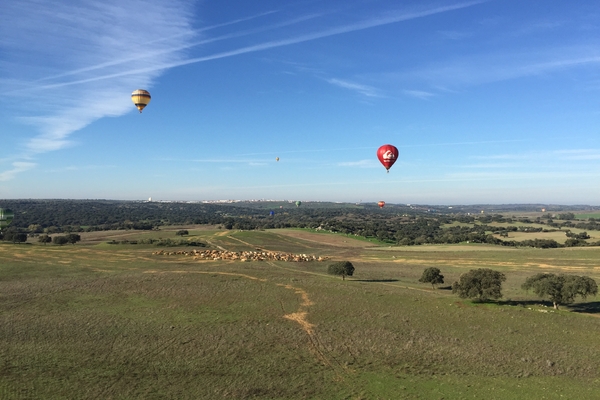 Ballonvaren-Portugal (13).JPG