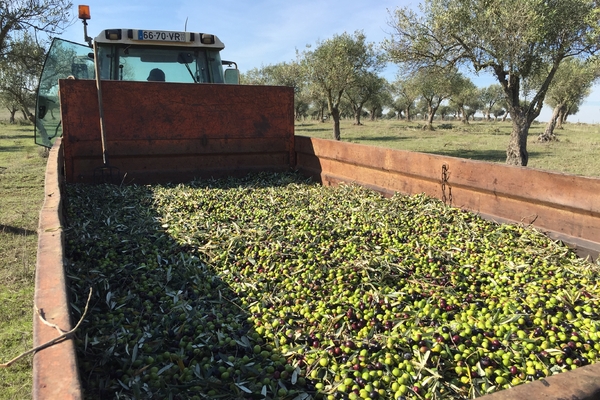 Ballonvaren-Portugal (16).JPG