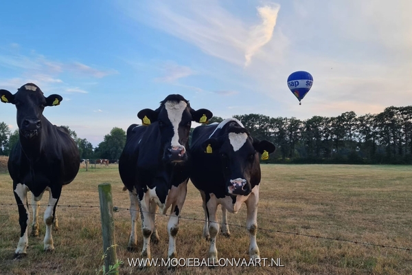 Ballonvaart-laren-naar-zelhem-10.jpeg