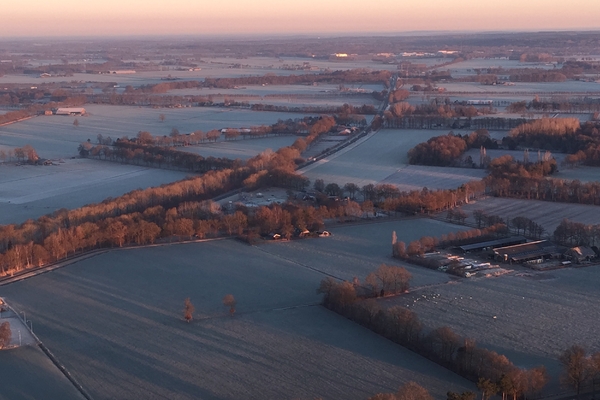 ballonvaren-in-de-winter (11).JPG