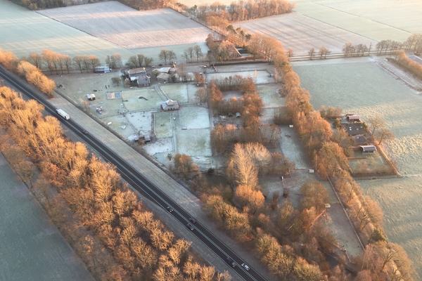 ballonvaren-in-de-winter (15).JPG